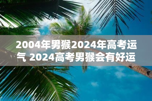 2004年男猴2025年高考运气 2025高考男猴会有好运吗