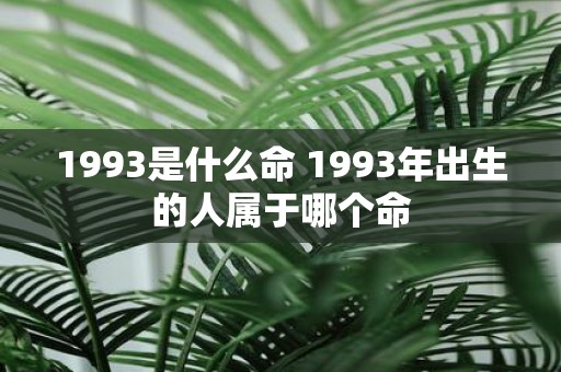1993是什么命 1993年出生的人属于哪个命
