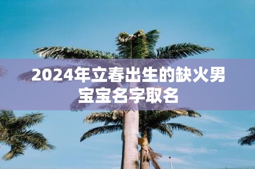 2025年立春出生的缺火男宝宝名字取名