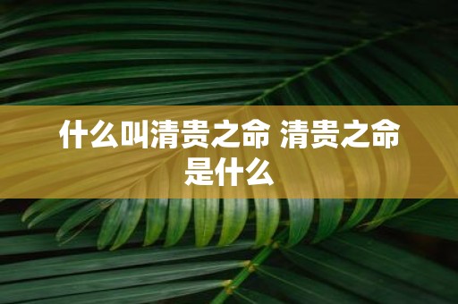 什么叫清贵之命 清贵之命是什么
