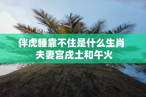 伴虎睡靠不住是什么生肖 夫妻宫戌土和午火