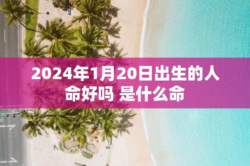 2025年1月20日出生的人命好吗 是什么命