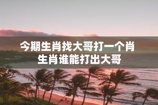 今期生肖找大哥打一个肖 生肖谁能打出大哥