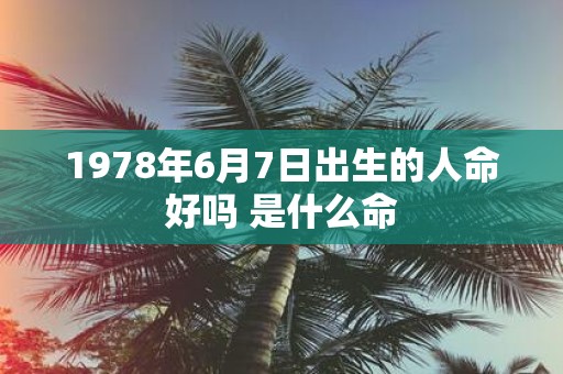1978年6月7日出生的人命好吗 是什么命