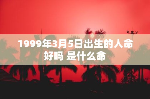 1999年3月5日出生的人命好吗 是什么命