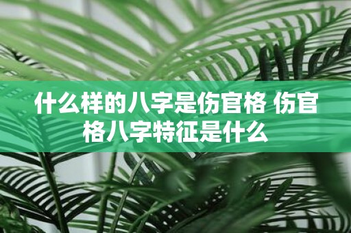 什么样的八字是伤官格 伤官格八字特征是什么