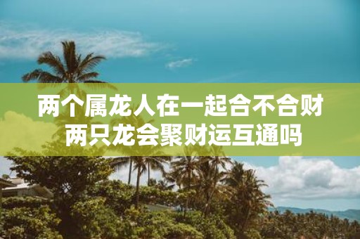 两个属龙人在一起合不合财 两只龙会聚财运互通吗