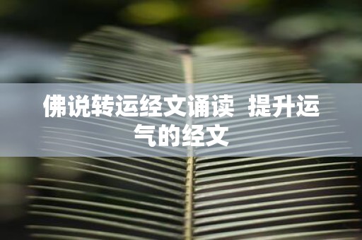 佛说转运经文诵读 提升运气的经文