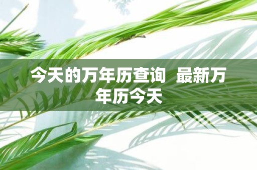 今天的万年历查询 最新万年历今天