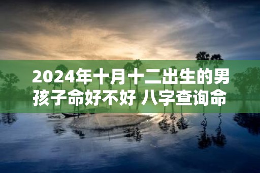 2025年十月十二出生的男孩子命好不好 八字查询命理