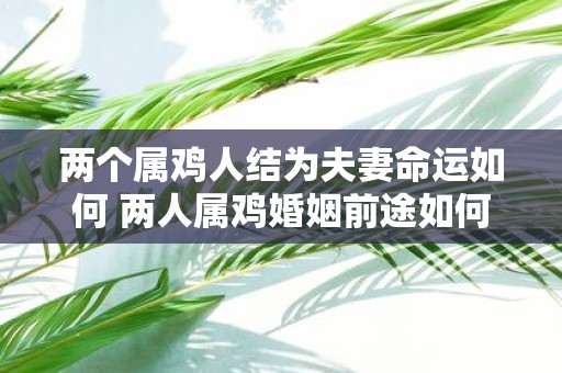 两个属鸡人结为夫妻命运如何 两人属鸡婚姻前途如何