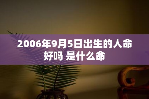 2006年9月5日出生的人命好吗 是什么命