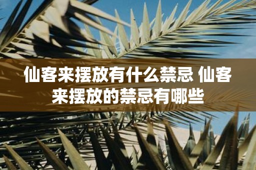 仙客来摆放有什么禁忌 仙客来摆放的禁忌有哪些