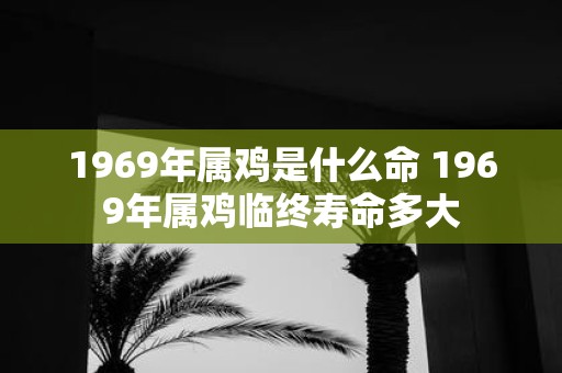 1969年属鸡是什么命 1969年属鸡临终寿命多大