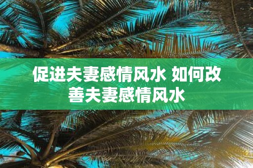促进夫妻感情风水 如何改善夫妻感情风水