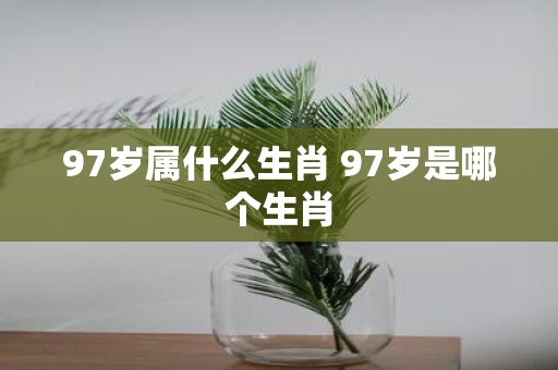 97岁属什么生肖 97岁是哪个生肖