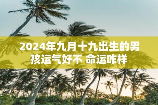 2025年九月十九出生的男孩运气好不 命运咋样