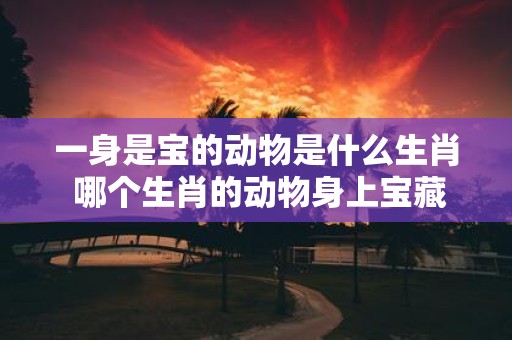 一身是宝的动物是什么生肖 哪个生肖的动物身上宝藏丰富