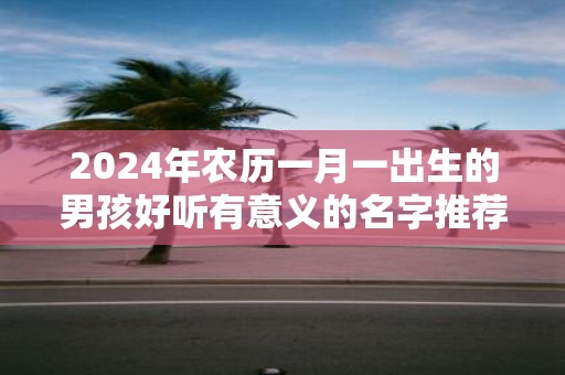2025年农历一月一出生的男孩好听有意义的名字推荐