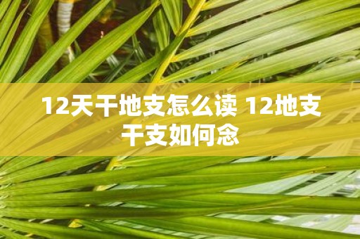 12天干地支怎么读 12地支干支如何念