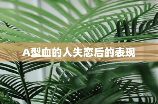 A型血的人失恋后的表现