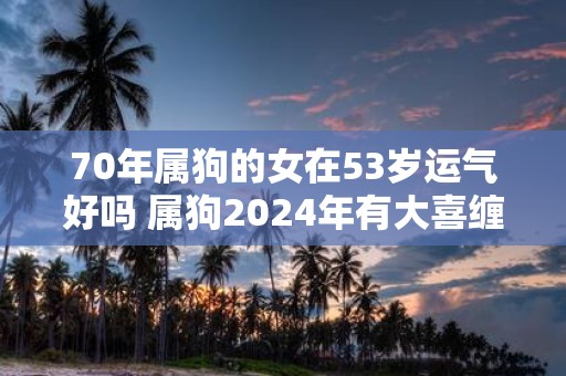 70年属狗的女在53岁运气好吗 属狗2025年有大喜缠身