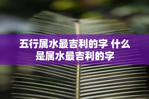 五行属水最吉利的字 什么是属水最吉利的字