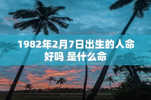 1982年2月7日出生的人命好吗 是什么命