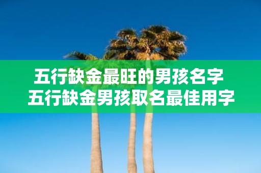 五行缺金最旺的男孩名字 五行缺金男孩取名最佳用字