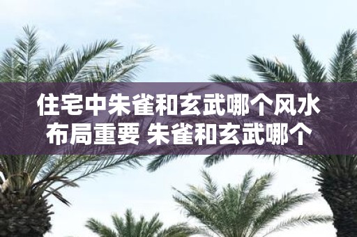 住宅中朱雀和玄武哪个风水布局重要 朱雀和玄武哪个更重要