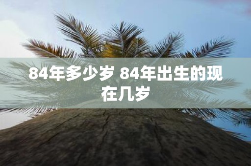 84年多少岁 84年出生的现在几岁