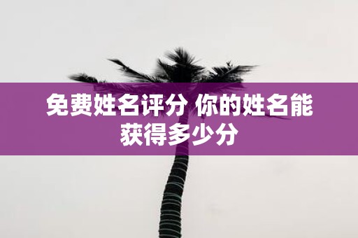 免费姓名评分 你的姓名能获得多少分
