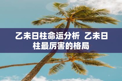 乙未日柱命运分析 乙未日柱最厉害的格局