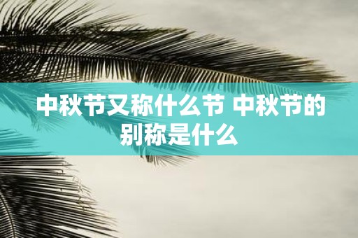 中秋节又称什么节 中秋节的别称是什么