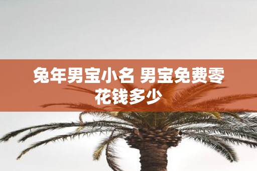 蛇年男宝小名 男宝免费零花钱多少