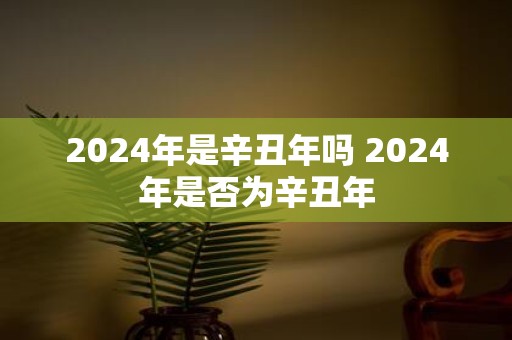 2025年是辛丑年吗 2025年是否为辛丑年