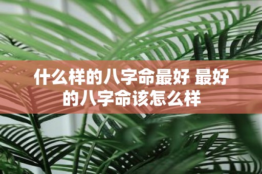 什么样的八字命最好 最好的八字命该怎么样