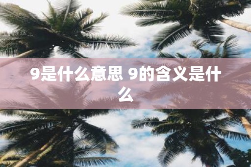 9是什么意思 9的含义是什么