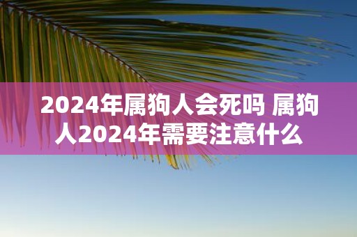 2025年属狗人会死吗 属狗人2025年需要注意什么