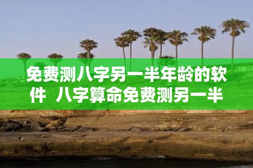 免费测八字另一半年龄的软件 八字算命免费测另一半出现时间