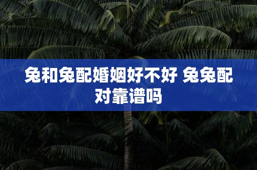 兔和兔配婚姻好不好 兔兔配对靠谱吗