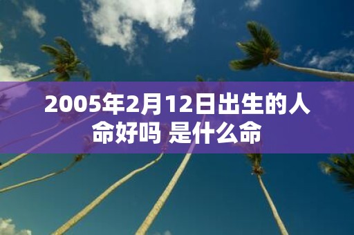 2005年2月12日出生的人命好吗 是什么命