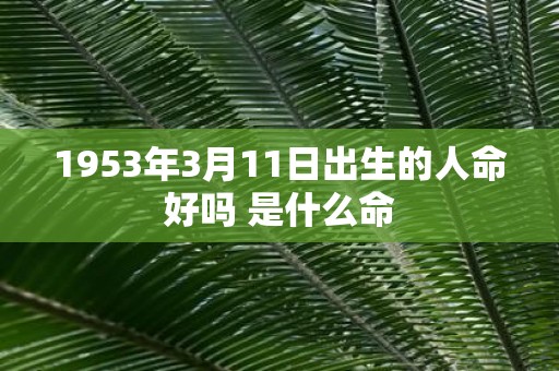 1953年3月11日出生的人命好吗 是什么命
