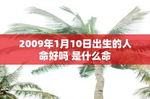 2009年1月10日出生的人命好吗 是什么命
