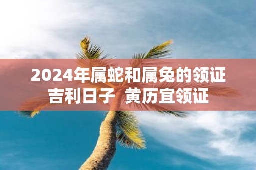 2025年属蛇和属兔的领证吉利日子 黄历宜领证