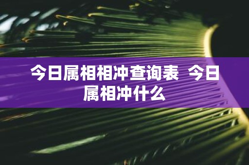 今日属相相冲查询表 今日属相冲什么