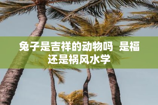 兔子是吉祥的动物吗  是福还是祸风水学