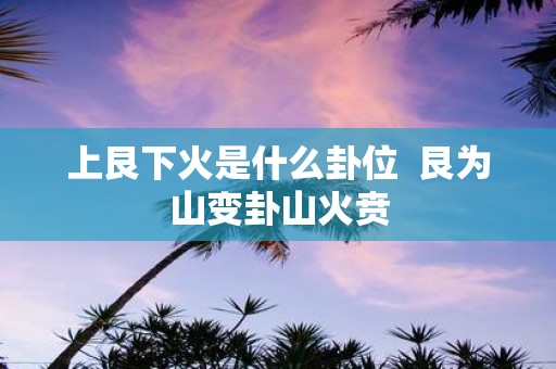 上艮下火是什么卦位 艮为山变卦山火贲