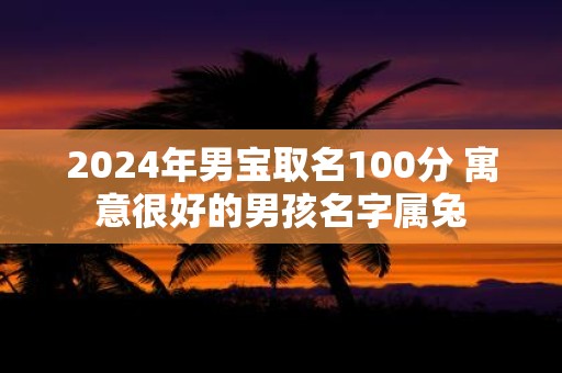 2025年男宝取名100分 寓意很好的男孩名字属兔