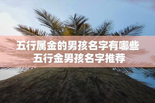 五行属金的男孩名字有哪些 五行金男孩名字推荐